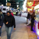 Newcologia Roosevelt Avenue Queens New York