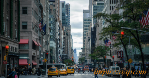 Newcologia Roosevelt Avenue Queens New York